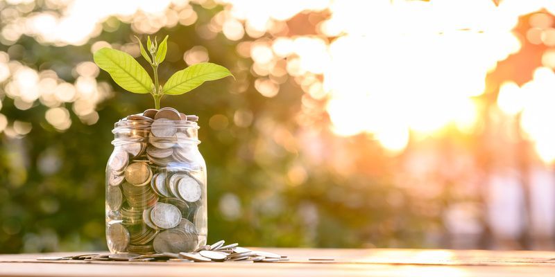 A jar filled with coins and a plant growing from the top, set against a blurred background with sunlight.