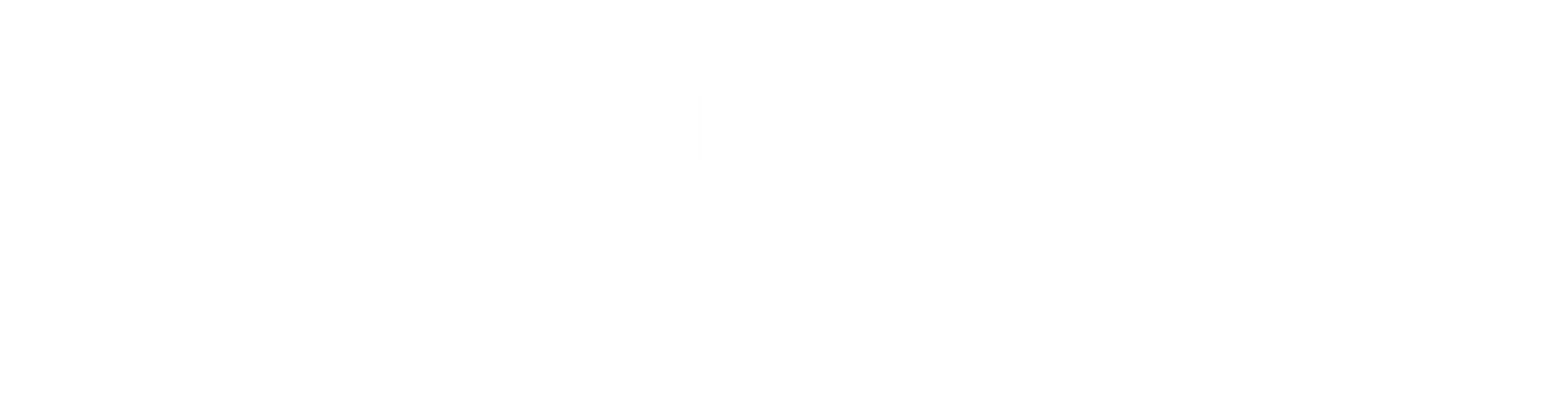 Bluecrest Care