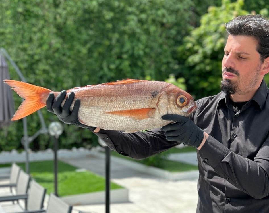 Un uomo tiene in mano un grosso pesce argentato con pinne arancioni all'aperto, vicino a uno sfondo verde.