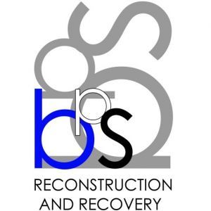 BPS-recovery-and-reconstruction