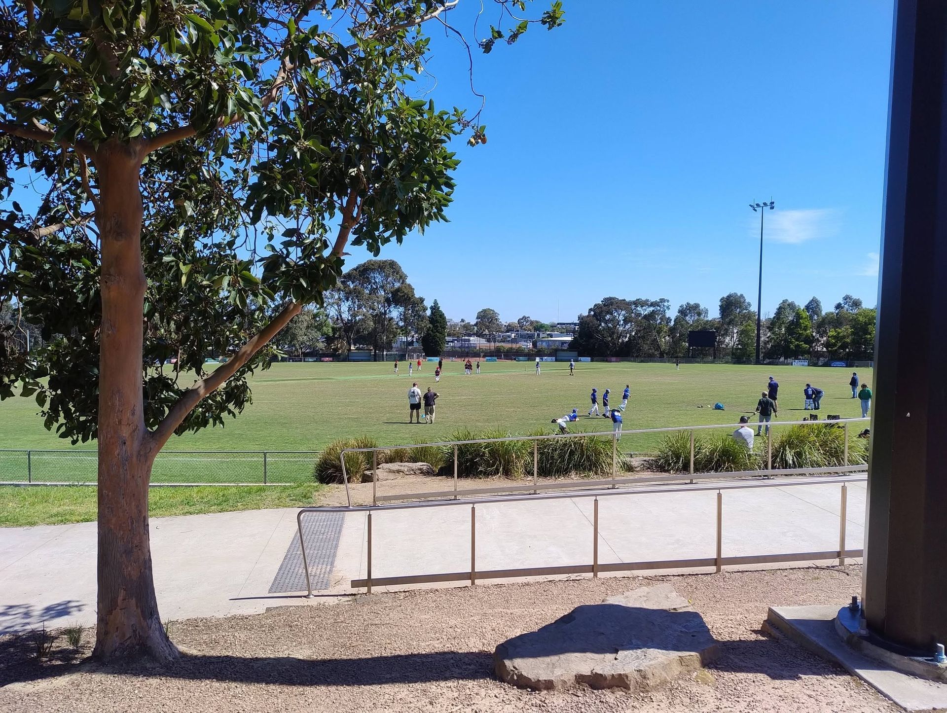 Sunny park with scattered people on a grassy field, framed by a tree and building edges.