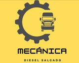 MEC&Aacute;NICA DI&Eacute;SEL SALGADO