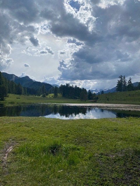Retreats Kurse und Workshops
