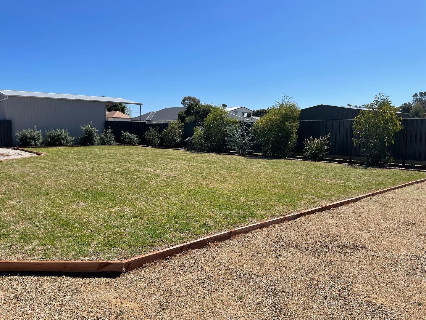 Lawn with a gravel driveway and a fence with bushes in front of a clear blue sky.