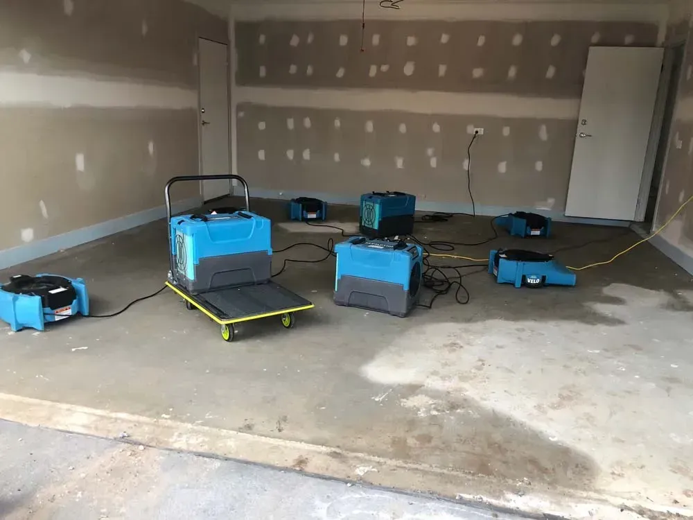 Anti Pests Machines | Geelong, Vic | Scientific Mould Experts