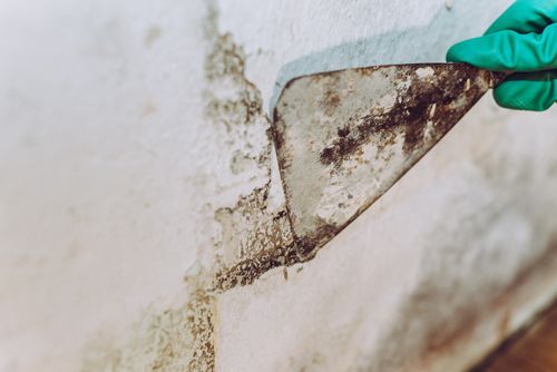 A worker is removing mould with a spatula.