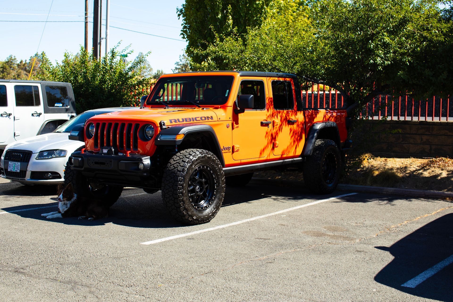 Auto Window Tinting Services