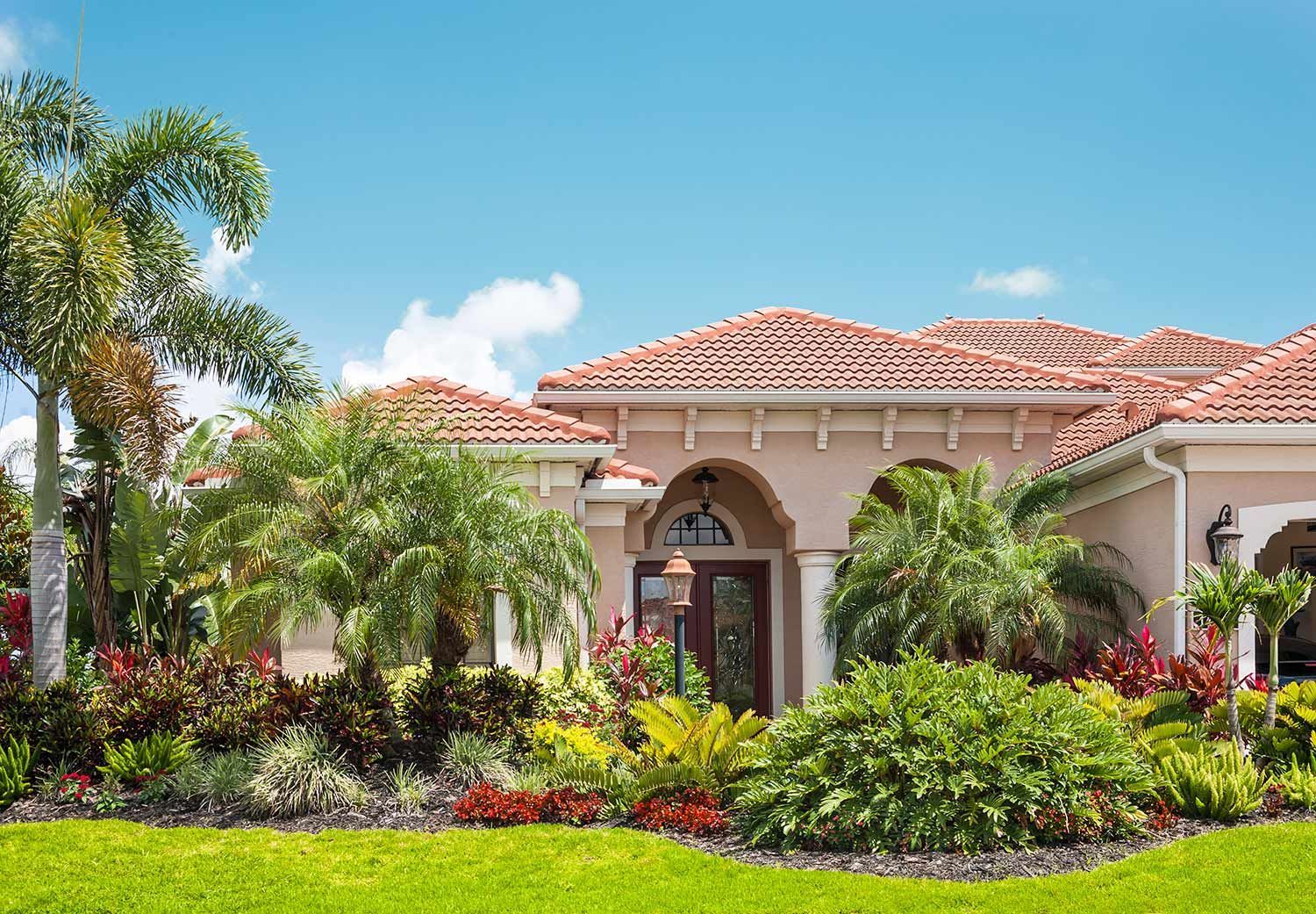 House with trees and plants in garden