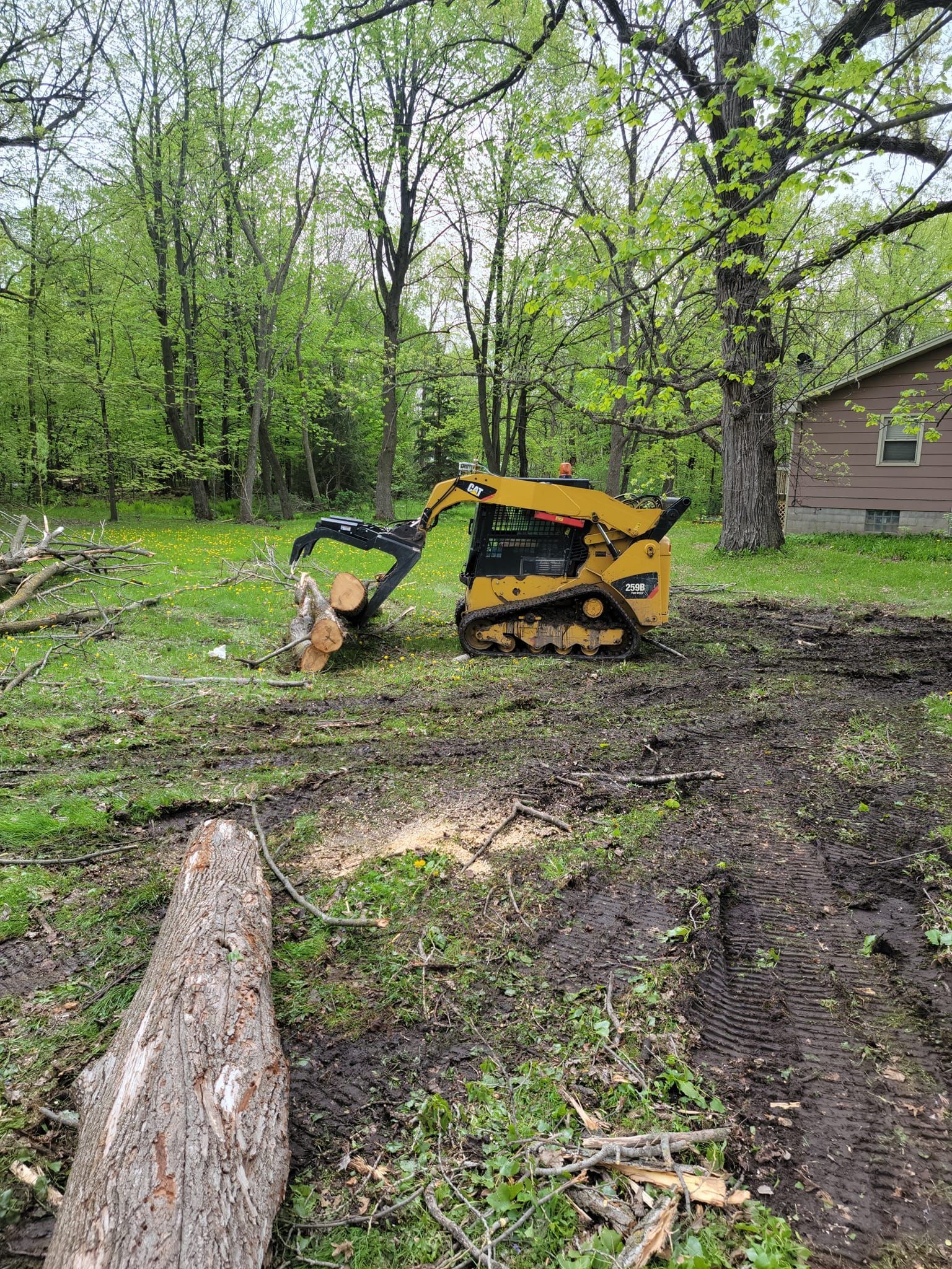Yellow skid steer with tree cutter in yard, cutting tree. Trees and house in the background.