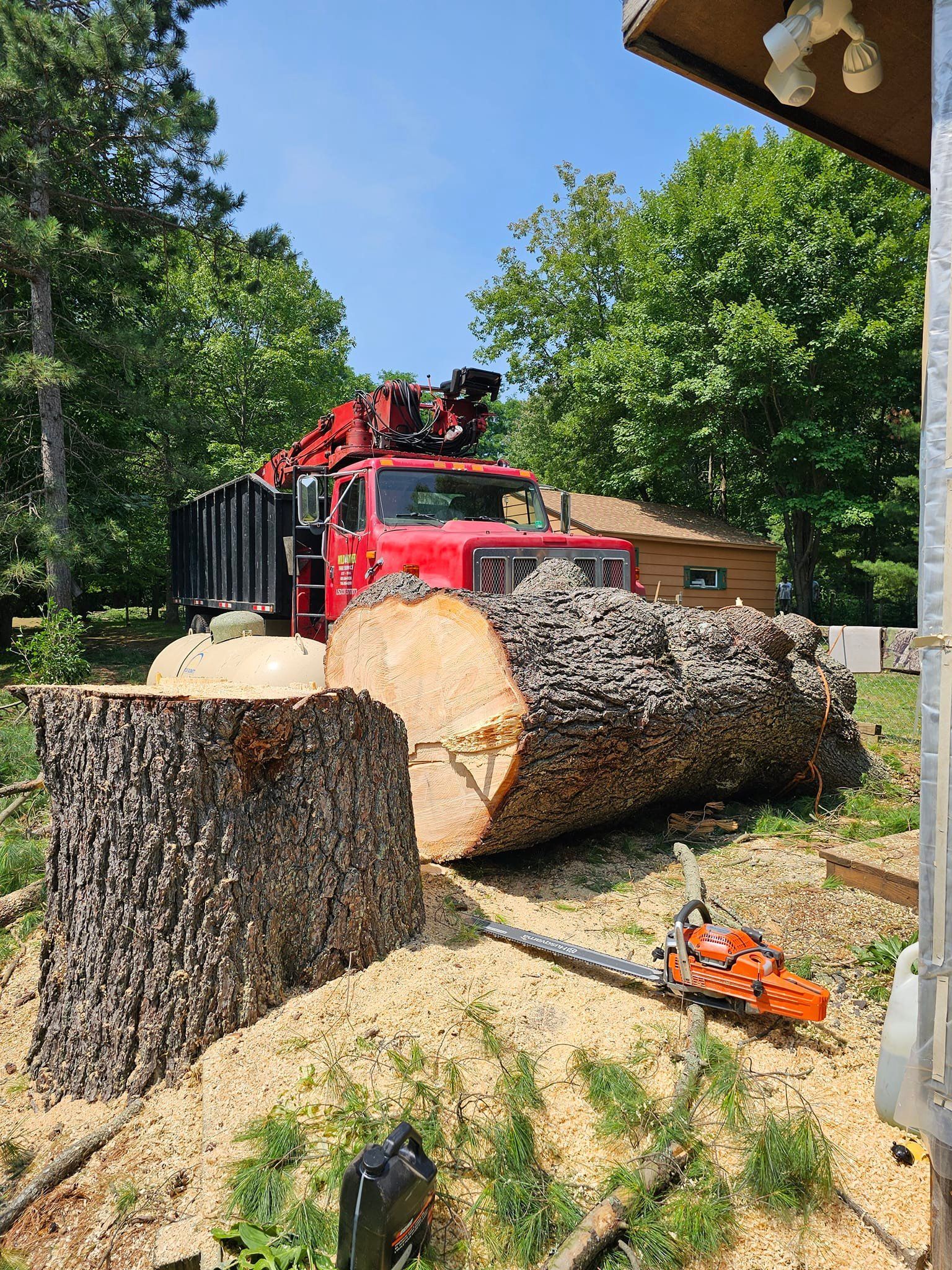 Large felled tree trunk with chainsaw and red truck with crane in a yard.