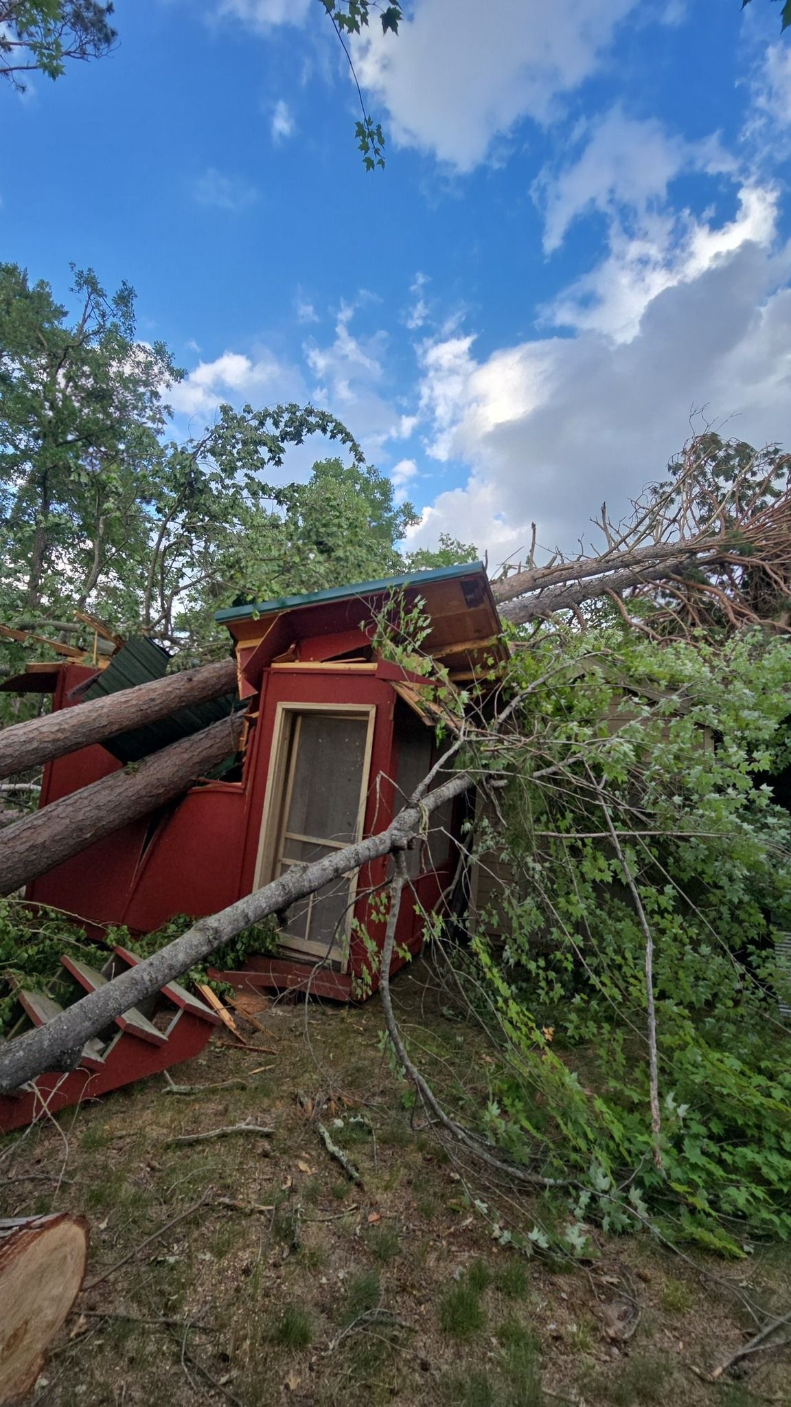 Red cabin with tree branches on roof, crushed. Blue sky, green foliage.
