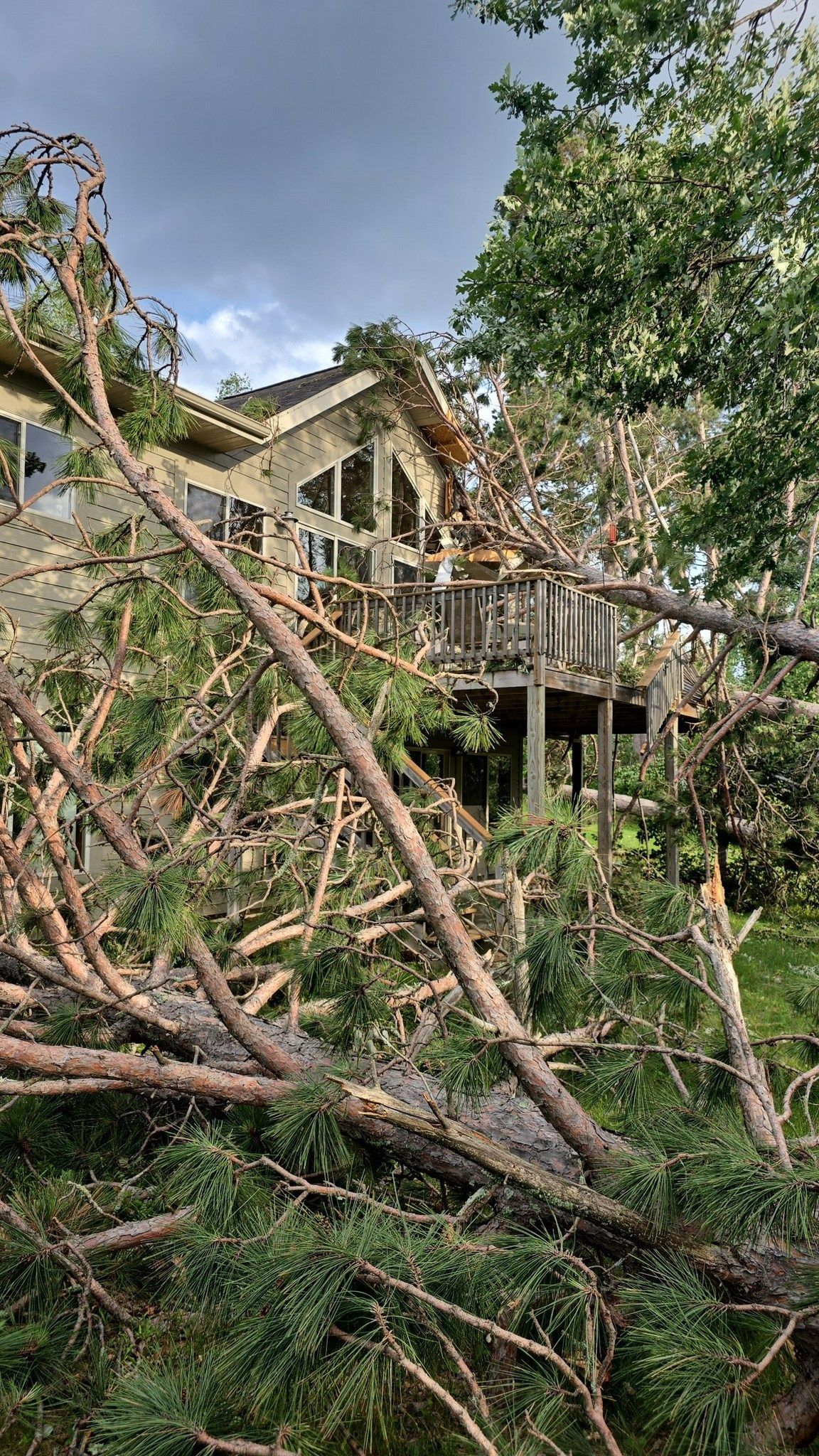 Fallen tree branches cover a house with a deck. The sky is overcast.