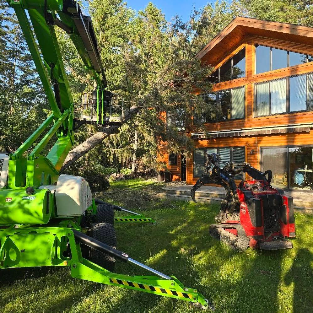 Green lift and red mini excavator near a wooden house, trees and blue sky.