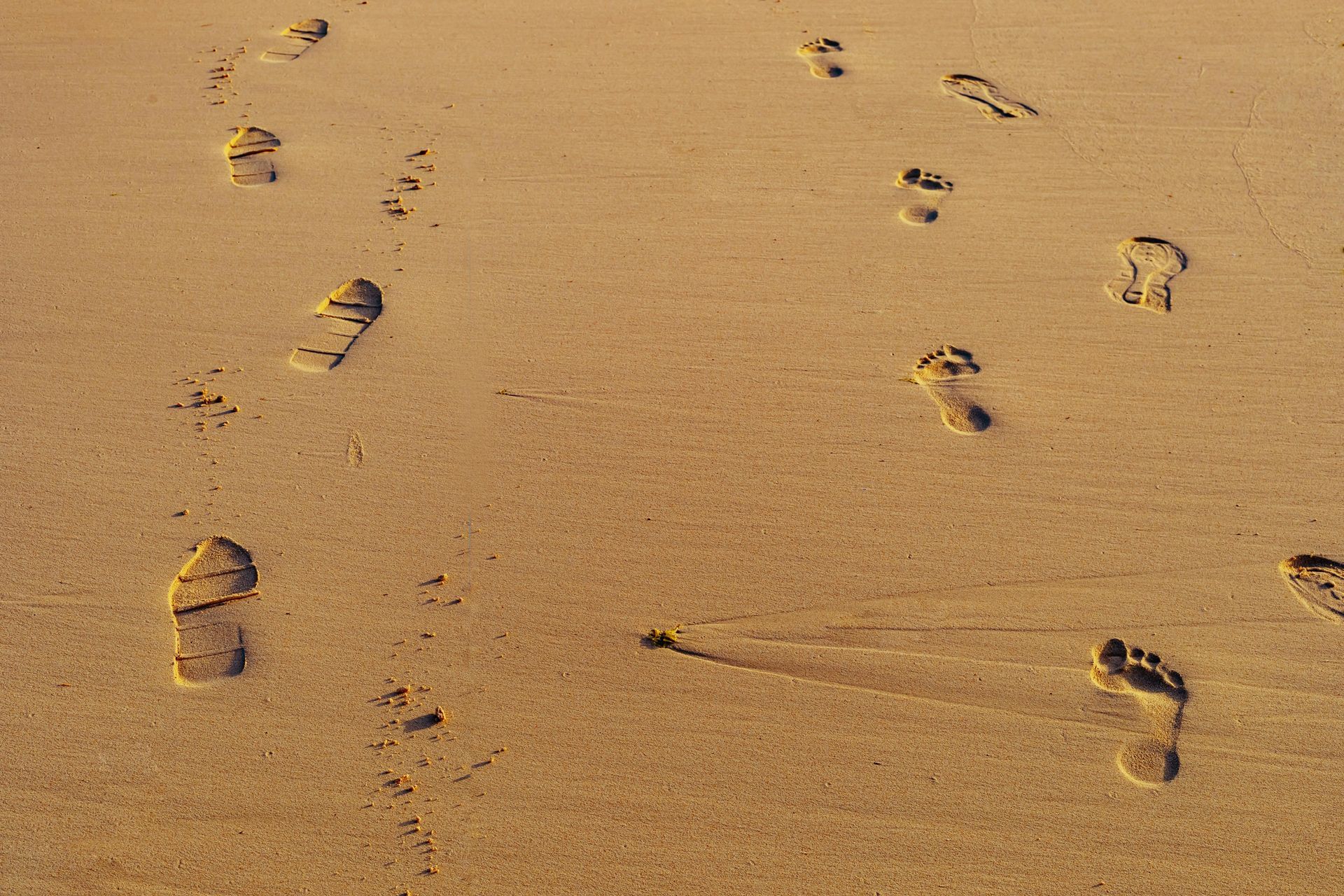 A group of footprints in the sand on a beach
