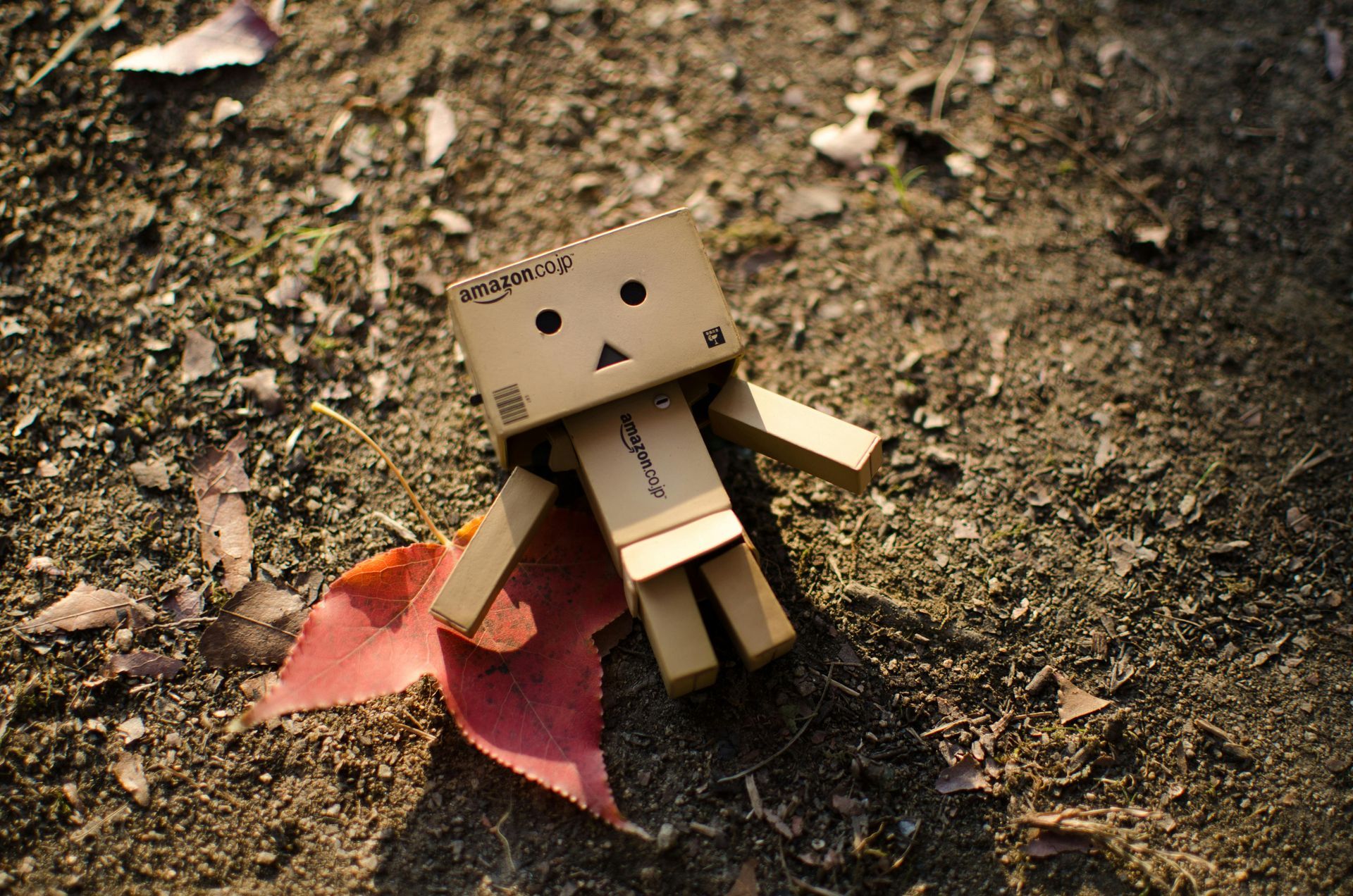 A cardboard box robot is sitting on the ground next to a leaf