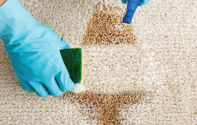 Carpet stain removal in Moreno Valley California