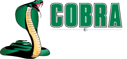 A green snake with the word cobra on it