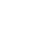 Empty white space.