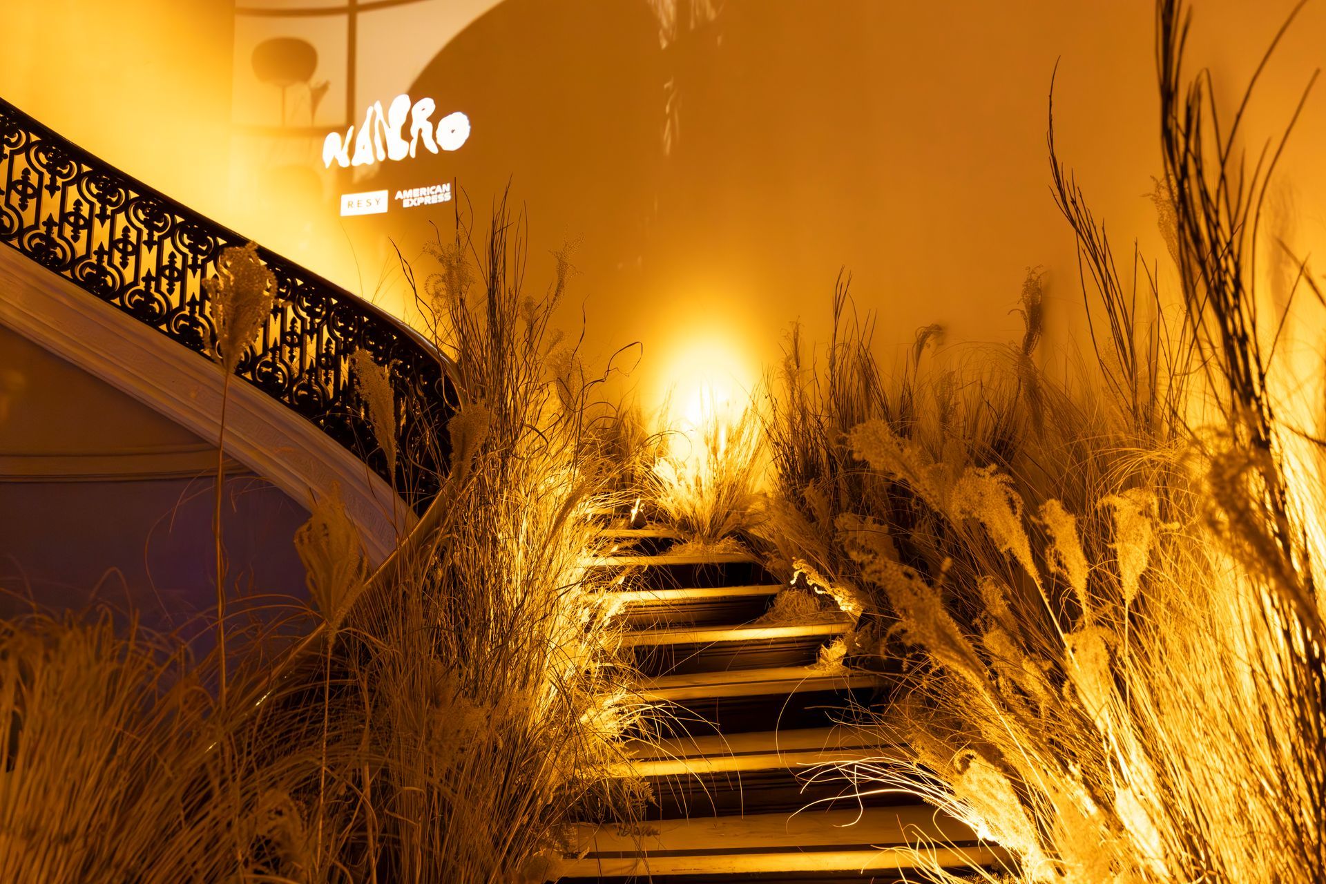 Lit stairs glowing through tall grasses at sunset beside a modern building with a curved facade