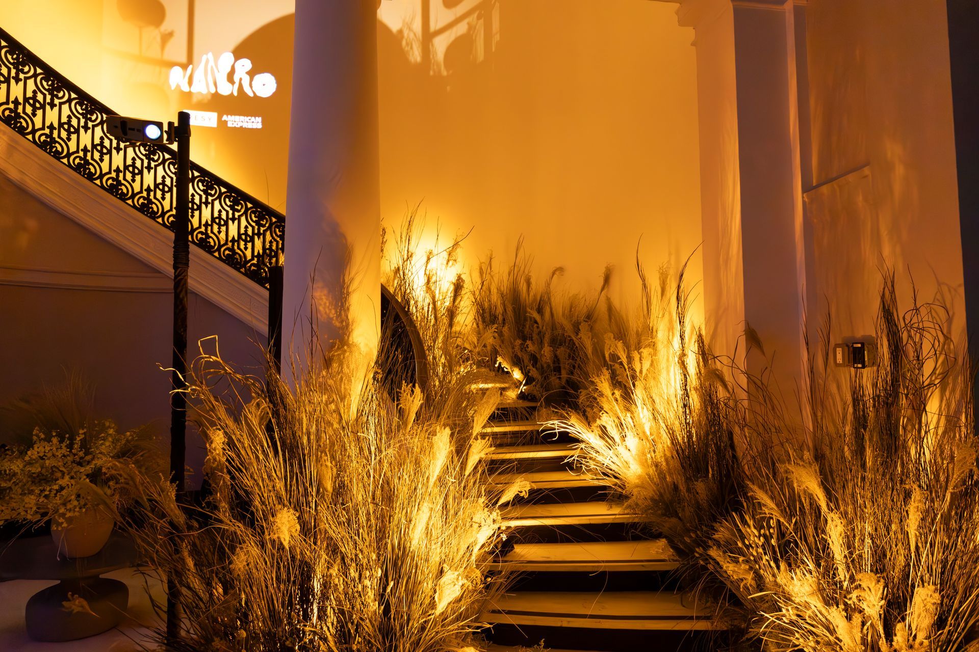 Illuminated outdoor staircase with golden lights and tall grasses at night
