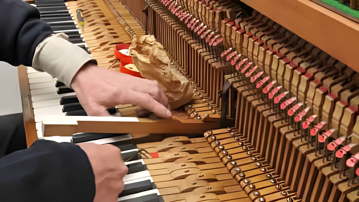 A Person Is Working on The Inside of A Piano — Tony Prince Piano Tuning In Taree, NSW