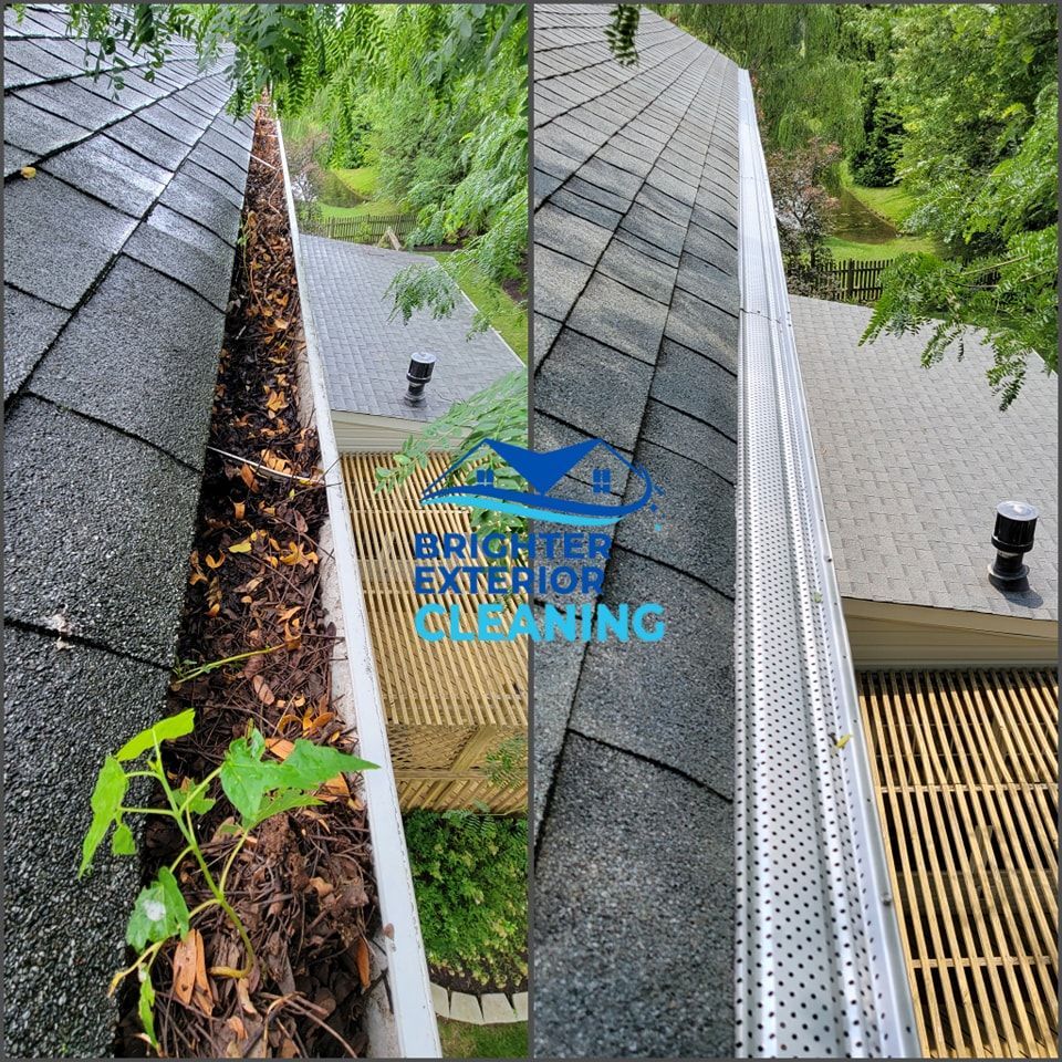 A close up of a gutter filled with leaves on a roof.