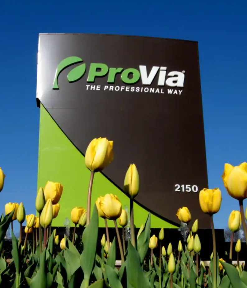ProVia sign with logo and address number, surrounded by yellow tulips against a blue sky.