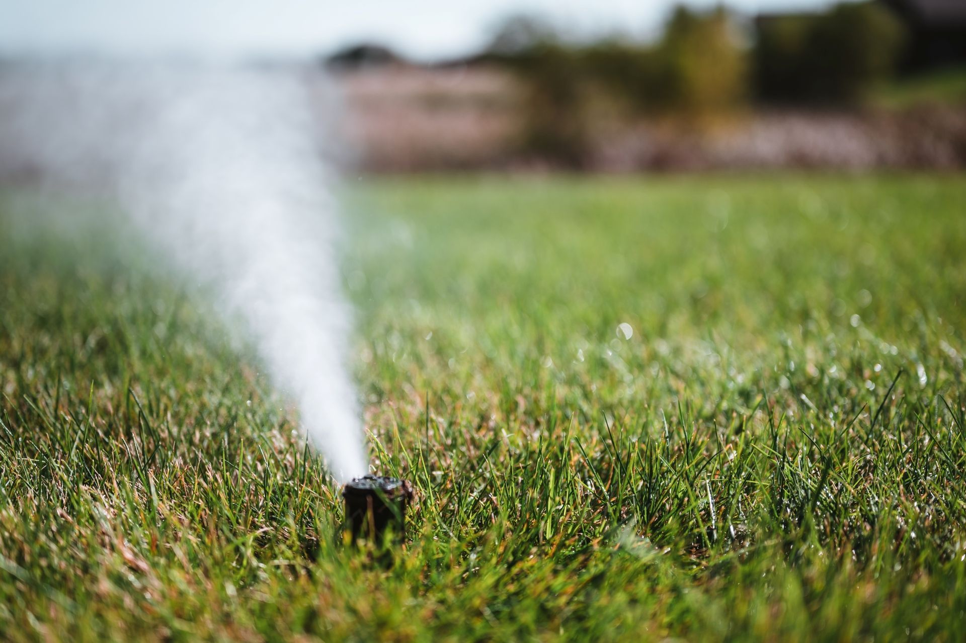 Sprinkler watering green grass outdoors, misting water.