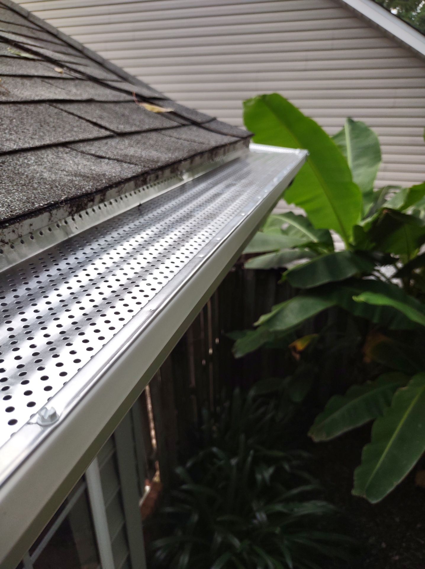 Close-up view of a roof with a gutter guard, near lush green plants and a wooden fence.