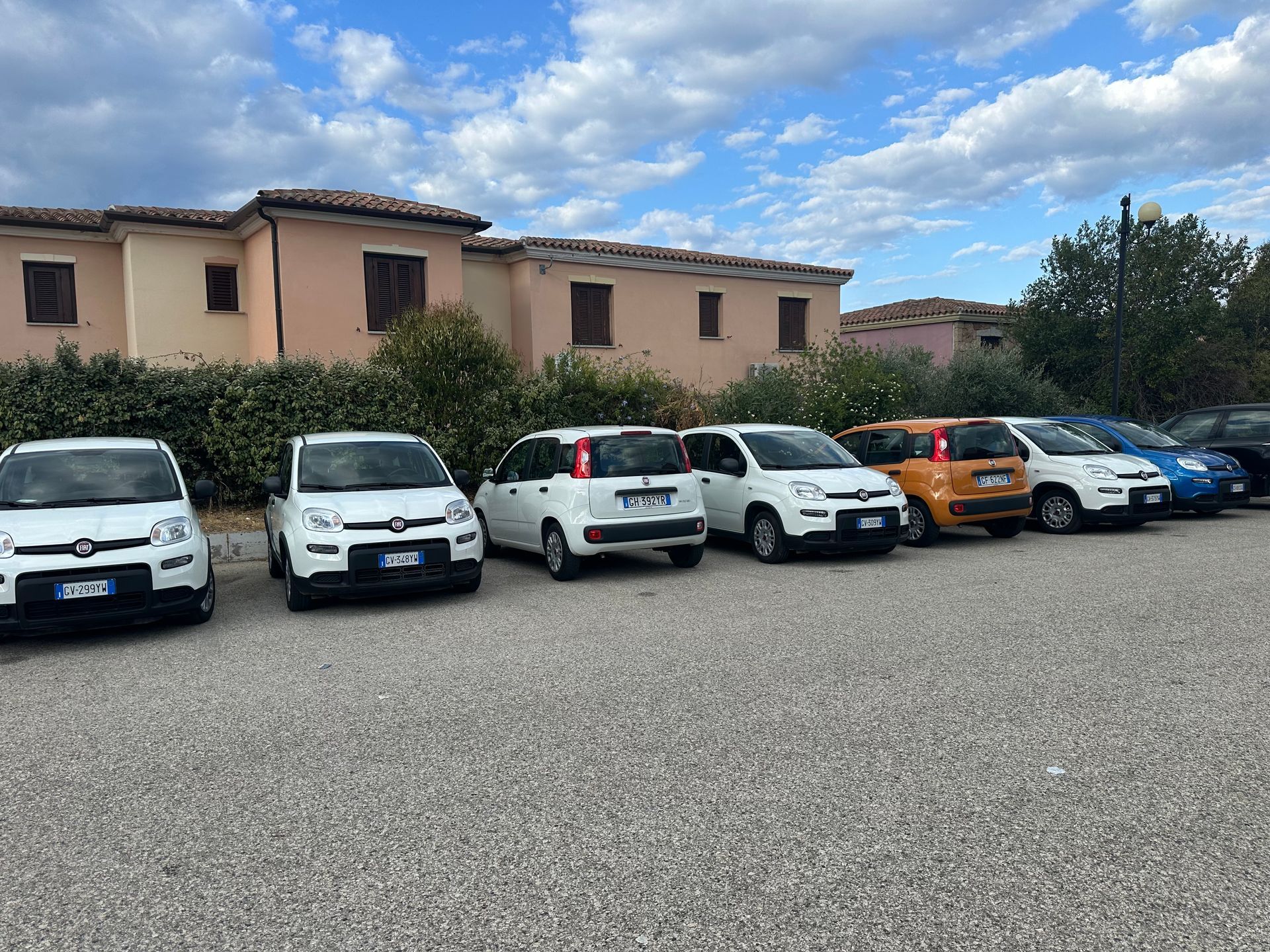 Diverse Fiat Panda bianche parcheggiate davanti a un edificio chiaro, sotto un cielo nuvoloso.