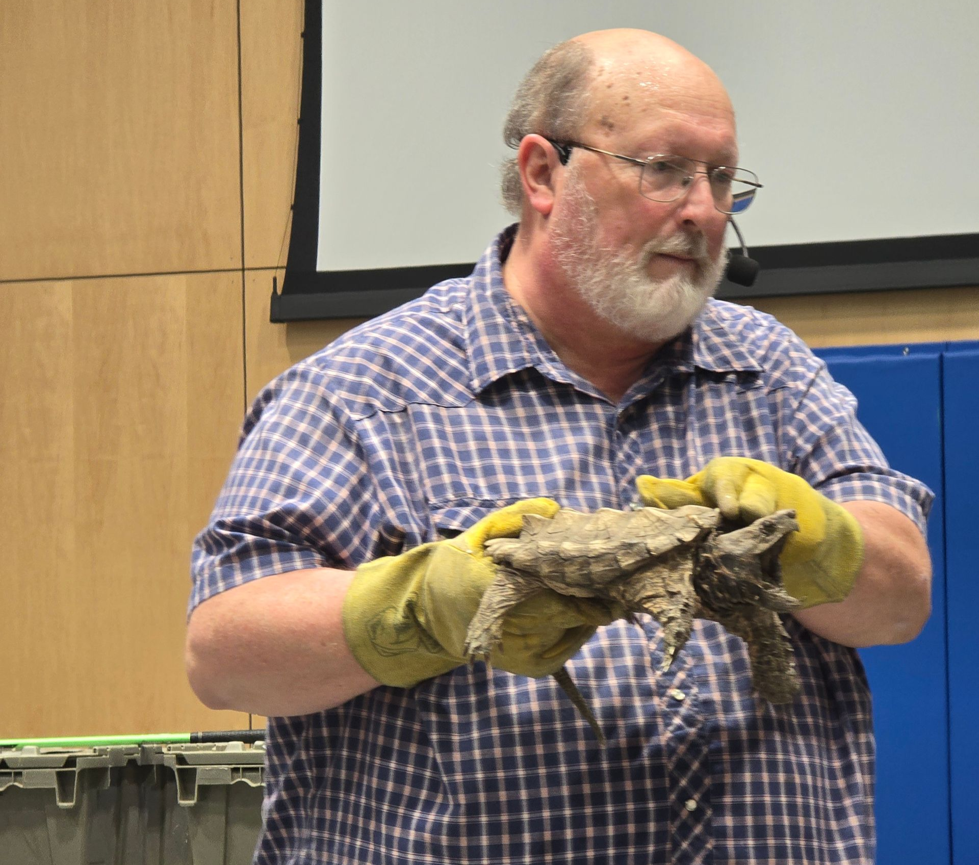 Man in plaid shirt and gloves holds a turtle, speaking in front of a blue wall and screen.