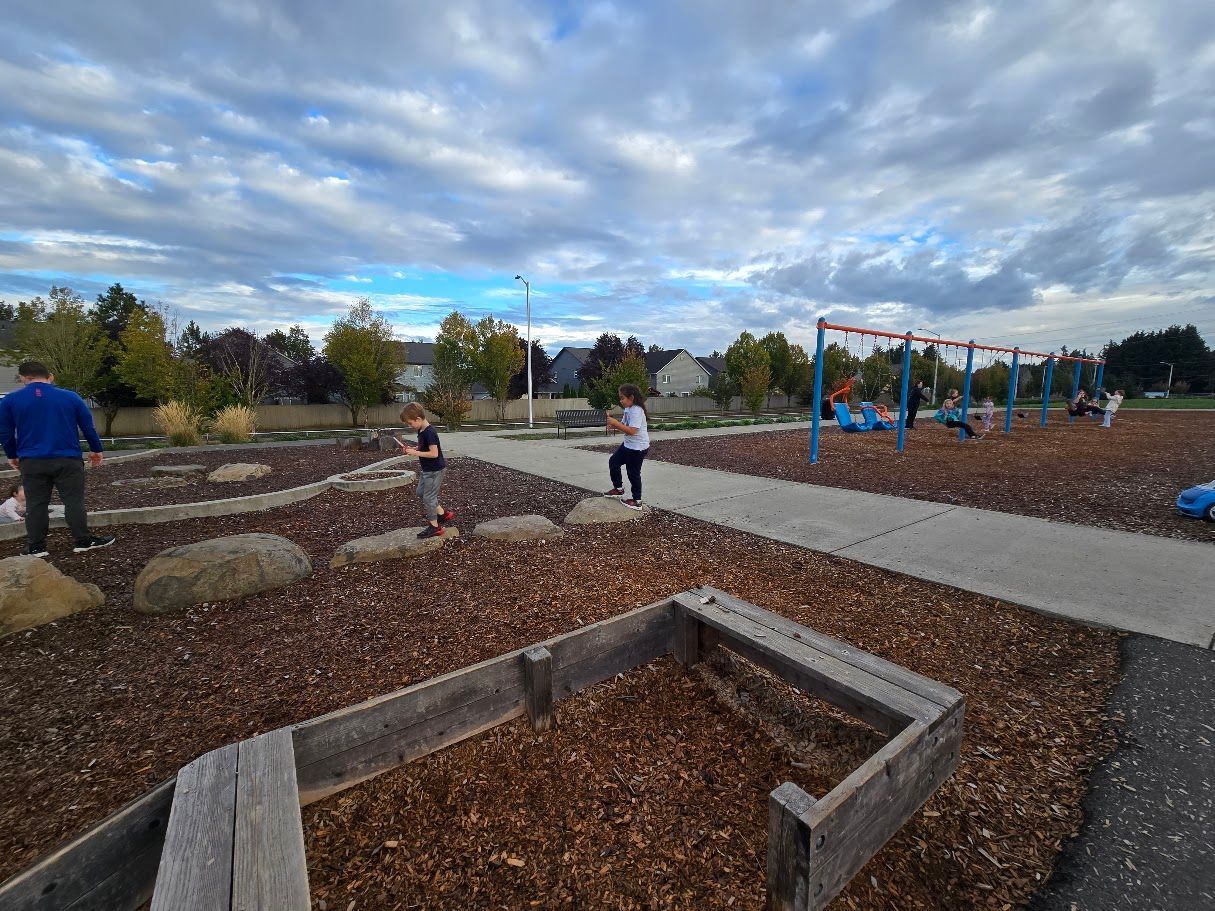 Park with playground equipment. People scattered around, cloudy sky.