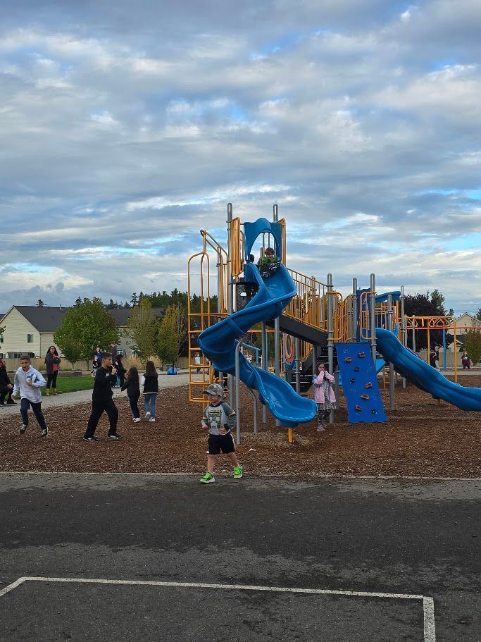 Children playing on a large, blue and wooden playground under a cloudy sky.
