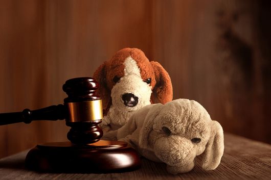 Two stuffed dogs are sitting next to a judge's gavel on a table.