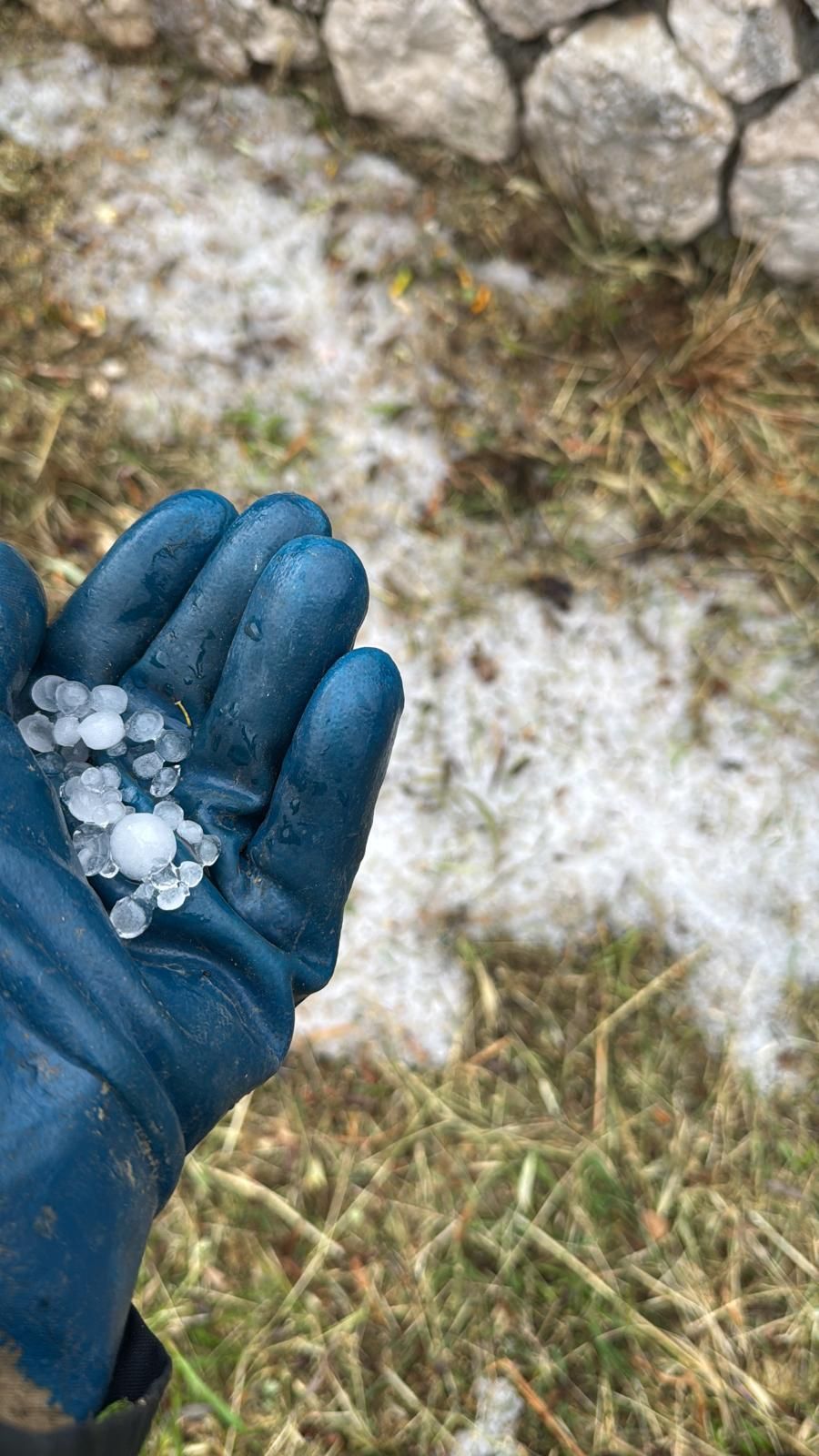 Una mano guantata di blu regge piccoli chicchi di grandine accanto a un terreno erboso e roccioso.