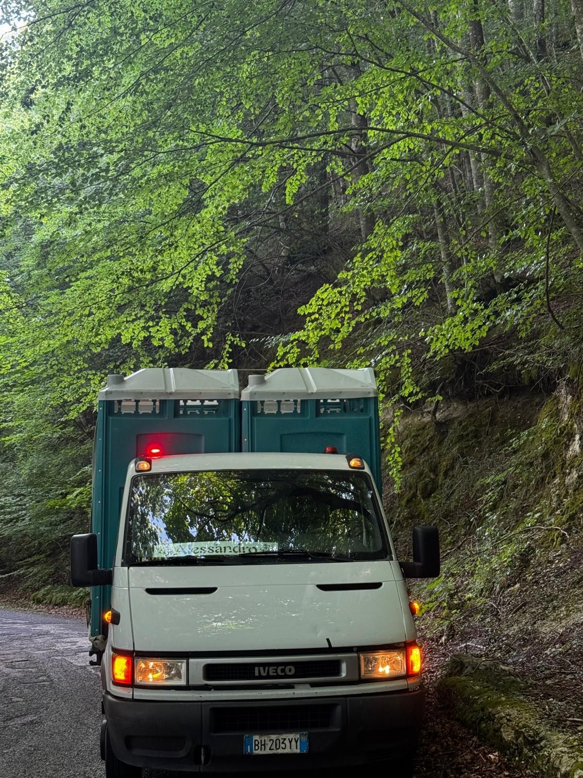 Un camion bianco percorre una stretta strada forestale a lato di un pendio roccioso, circondato da alberi verdi.