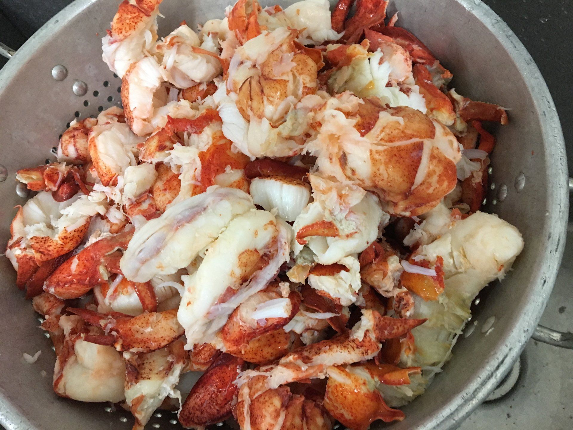 A strainer filled with lobster meat is sitting on a sink