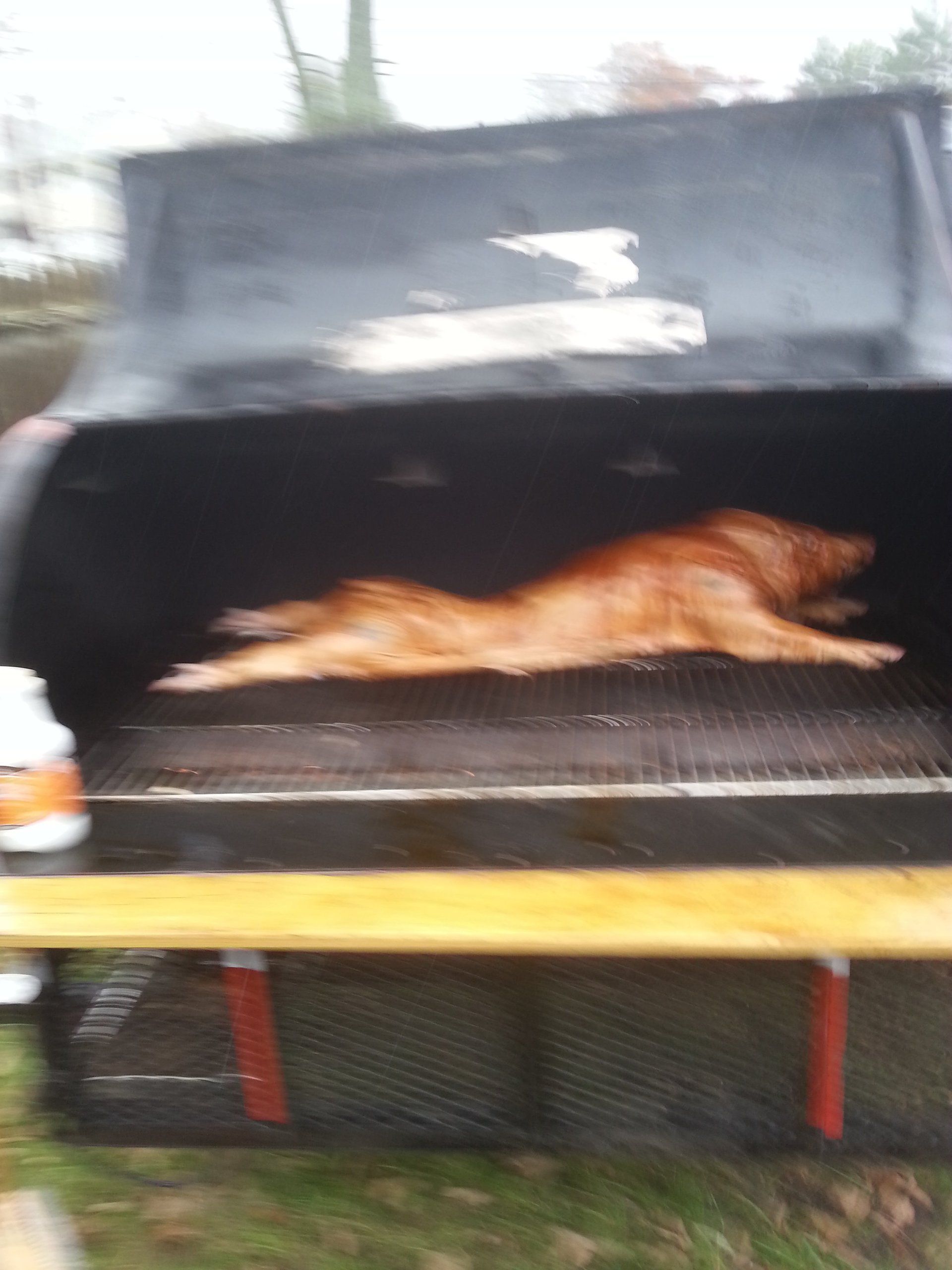 A pig is laying on its back on a grill