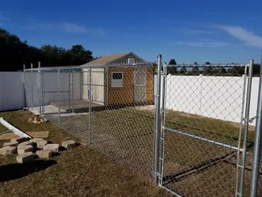 A chain link fence is surrounding a dog kennel in a backyard.