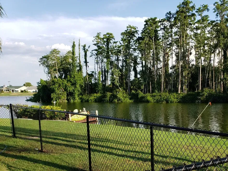 A chain link fence surrounds a lake with trees in the background
