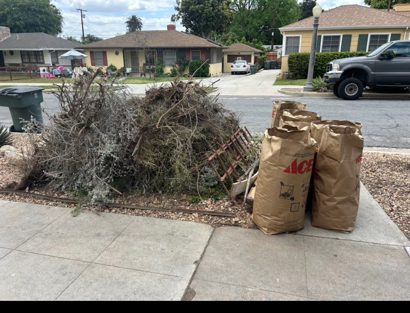 Piles of yard debris and leaves beside two brown paper lawn bags on a residential sidewalk.