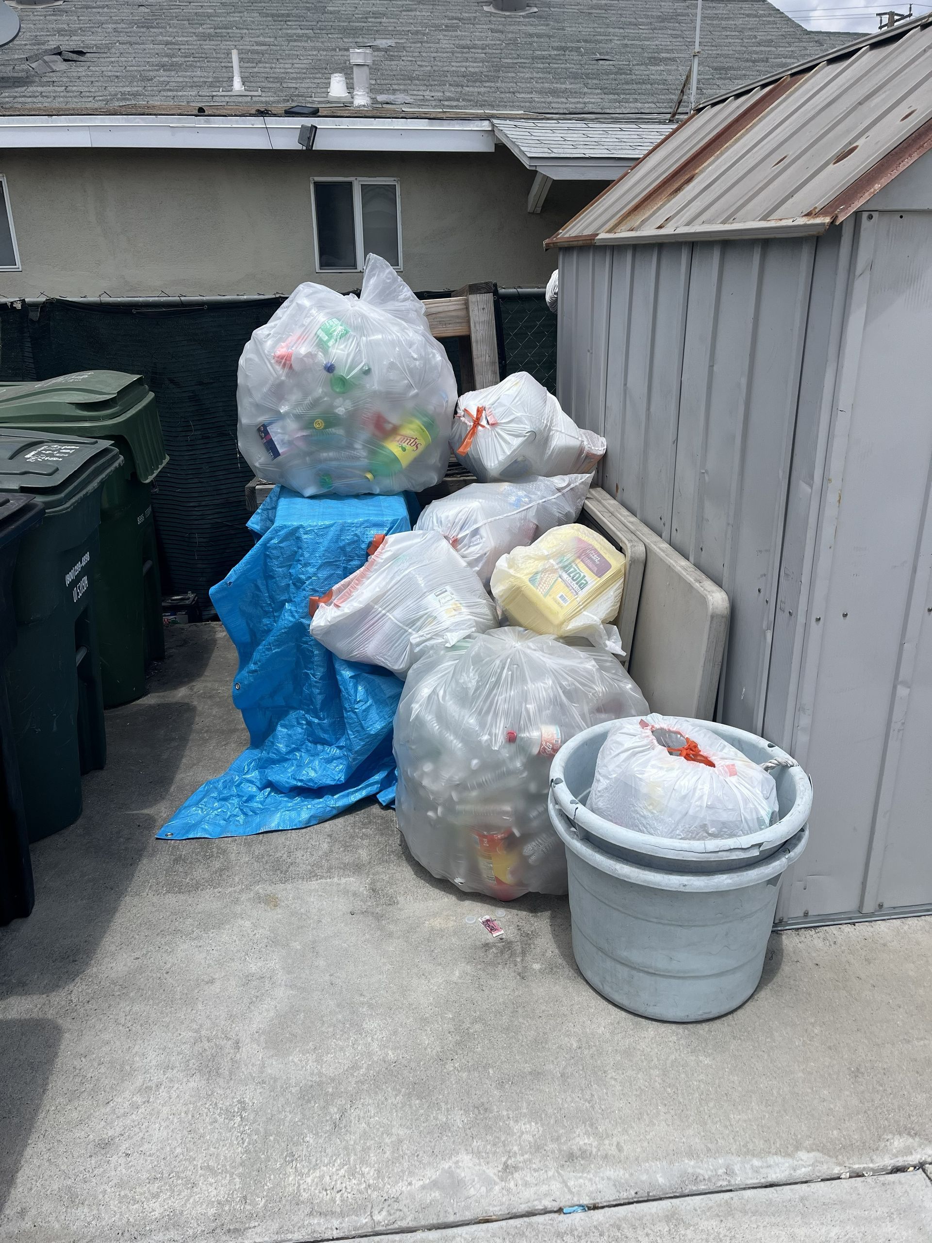 Garbage bags and trash bins piled in an alley beside a white shed and concrete wall.