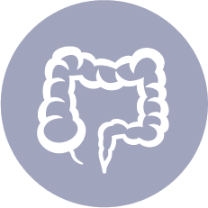 DR. ORLANDO DURIEZ CASCO - Colon