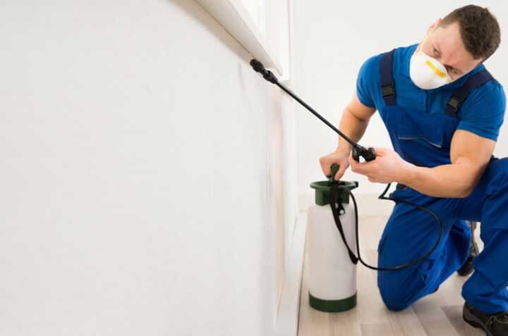 Un hombre que lleva una máscara está rociando una pared con un pulverizador.