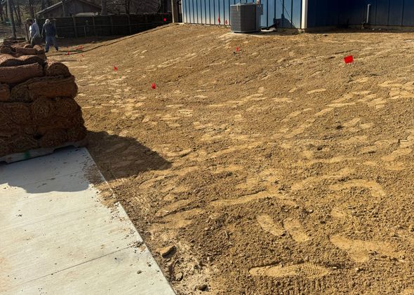 Mulched yard beside a concrete patio, with a small red marker in the dirt and structures in the background
