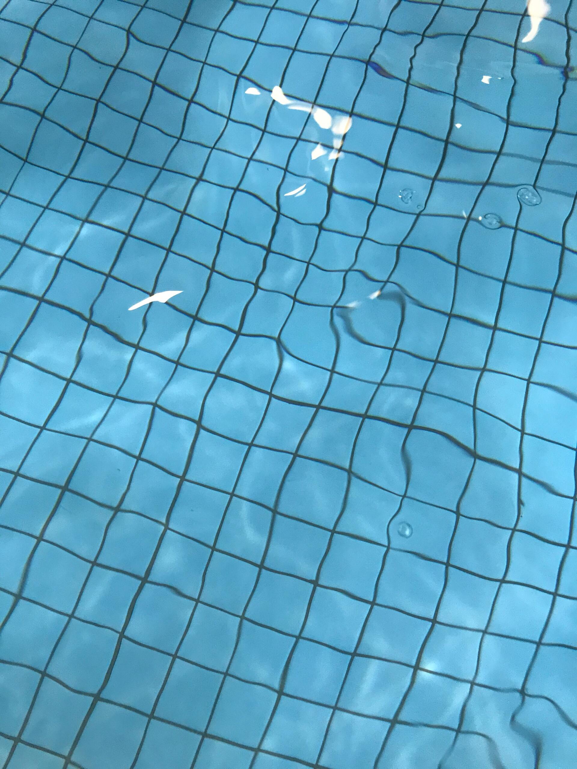 Picture of brown leaf floating in blue pool water