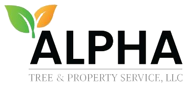 Alpha Property Service
