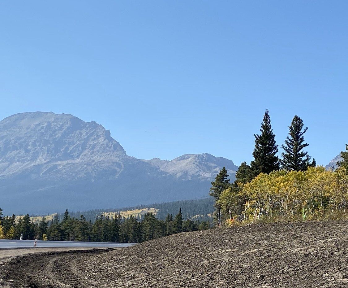 Mountain landscape with blue sky, evergreen trees, and rocky foreground