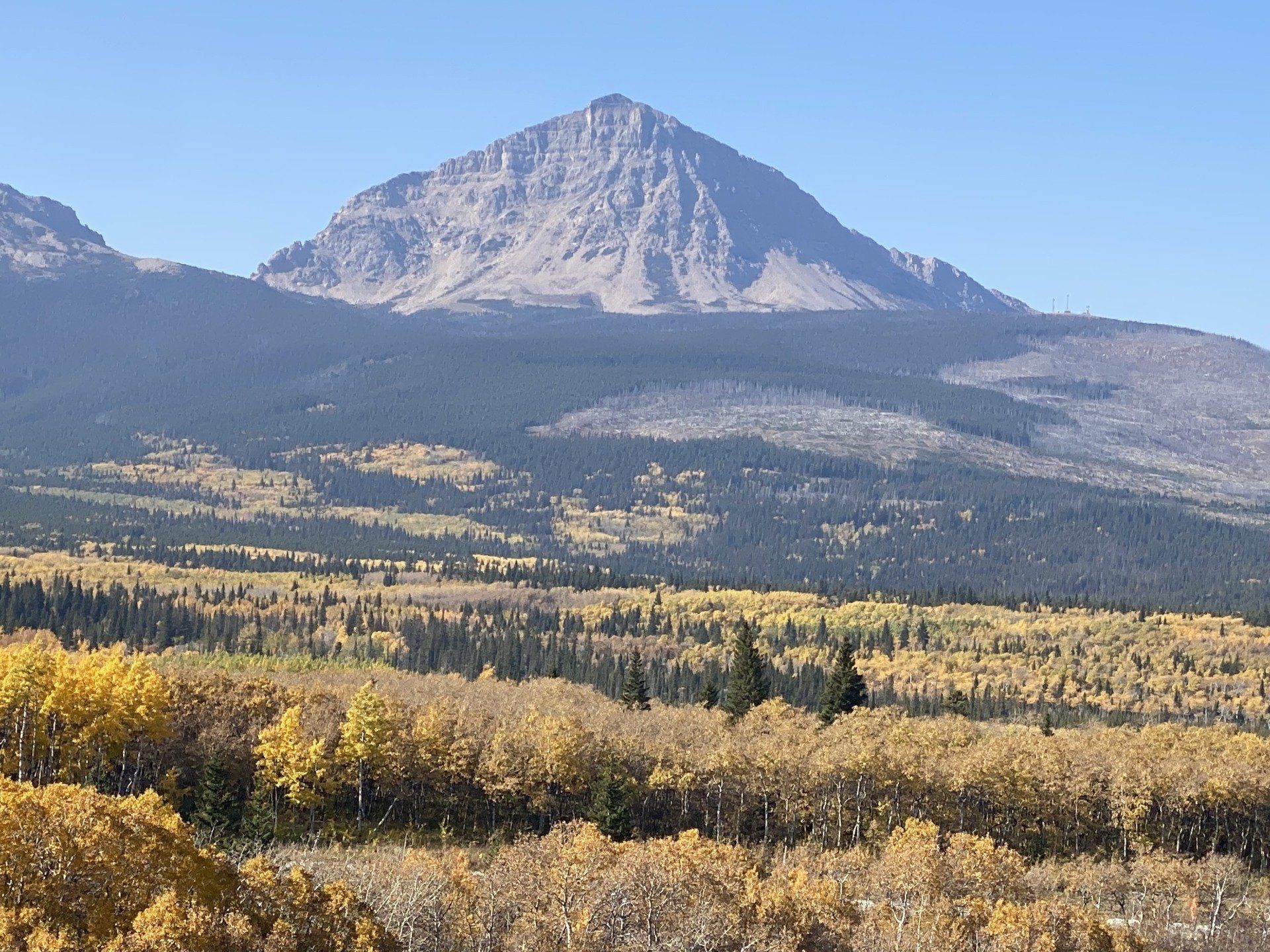 Snow-dusted mountain above a yellow autumn forest under a clear blue sky