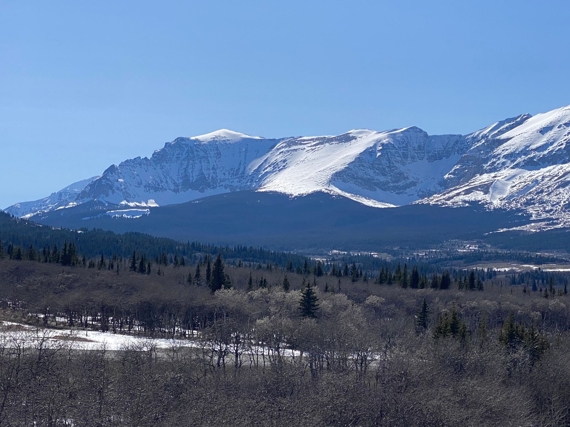Snowy mountain range under a clear blue sky, with dark forested hills in the foreground.
